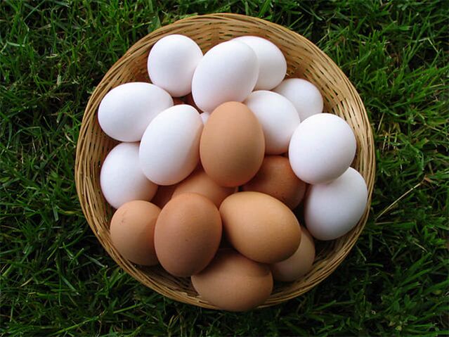Ovos de galinha fortalecem a ereção e aumentam a libido masculina